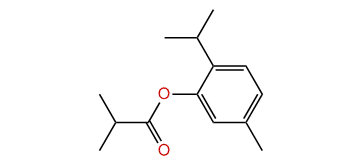 2-Isopropyl-5-methylphenyl isobutyrate